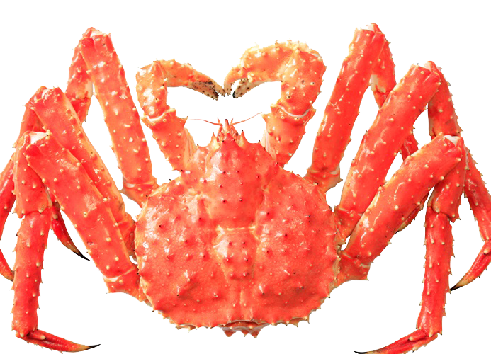Cua King Crab Sống